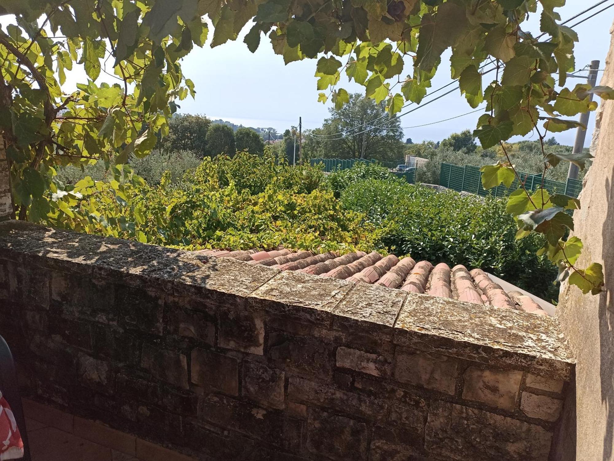 شقة Hedra زامبراتيجا المظهر الخارجي الصورة